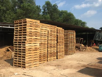 Có nên dùng pallet gỗ thông ở Việt Nam?
