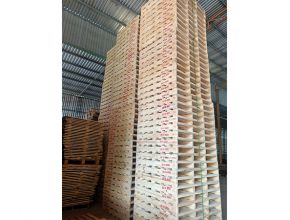 Pallet kê hàng trong kho