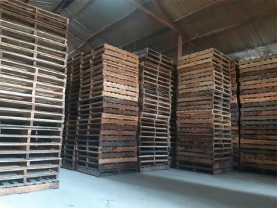 Sự Phổ Biến Của Pallet Gỗ Keo Tại Miền Bắc Việt Nam