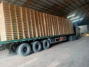 Pallet kê hàng trong kho