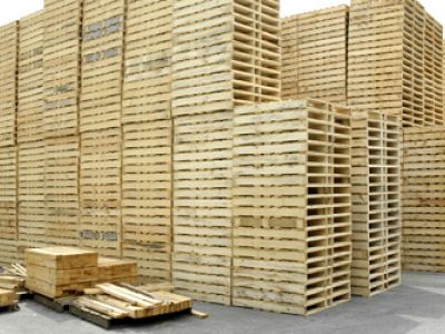 Pallet Gỗ Đững Đầu Trong Thị Trường Pallet Hiện Nay