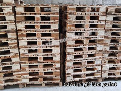 Các loại gỗ làm pallet