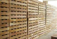 5 Tiêu Chí Giúp Bạn Mua Gỗ Pallet Chất Lượng