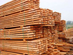 Gỗ cao su sấy