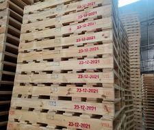 Pallet kê hàng trong kho Pallet kê hàng trong kho