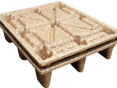 Các loại pallet tốt nhất cho doanh nghiệp của bạn