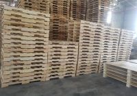 Những bước sản xuất pallet gỗ tại Việt Trường Hải