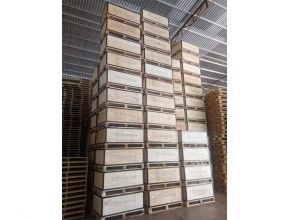 Pallet kê hàng trong kho