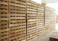Hướng dẫn sử dụng pallet gỗ