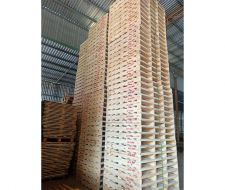 Pallet kê hàng trong kho Pallet kê hàng trong kho