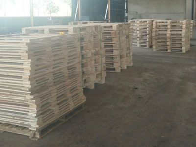 Tính chất của gỗ thông làm Pallet