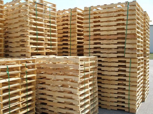 Nhu cầu sấy Pallet gỗ
