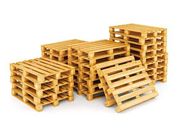 Một số biện pháp phòng chống nấm mốc trên pallet gỗ