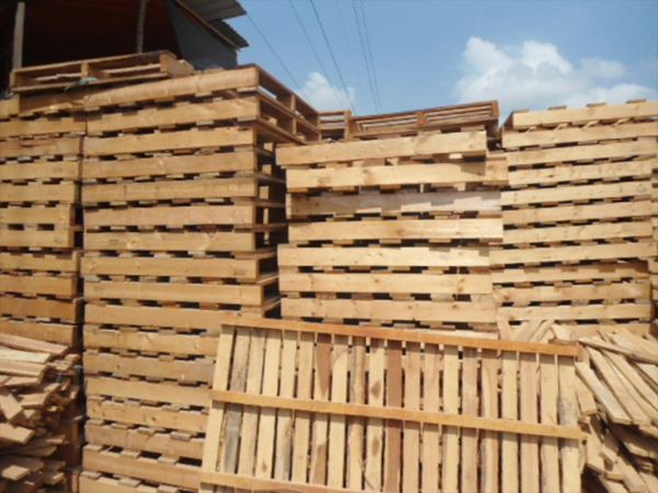 Những Loại Gỗ Thường Được Dùng Làm Pallet Tại Việt Nam