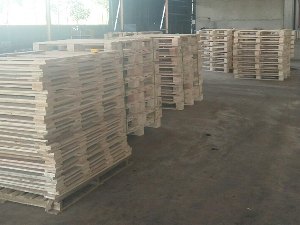 Tính chất của gỗ thông làm Pallet